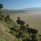 Einfahrt - Ngorogoro Krater