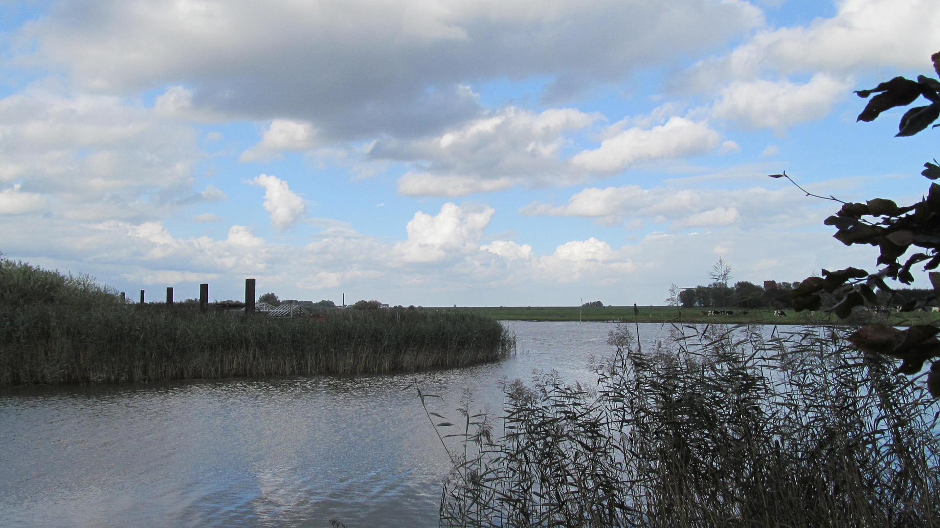 Einfahrt zum Hafen Wischhafen