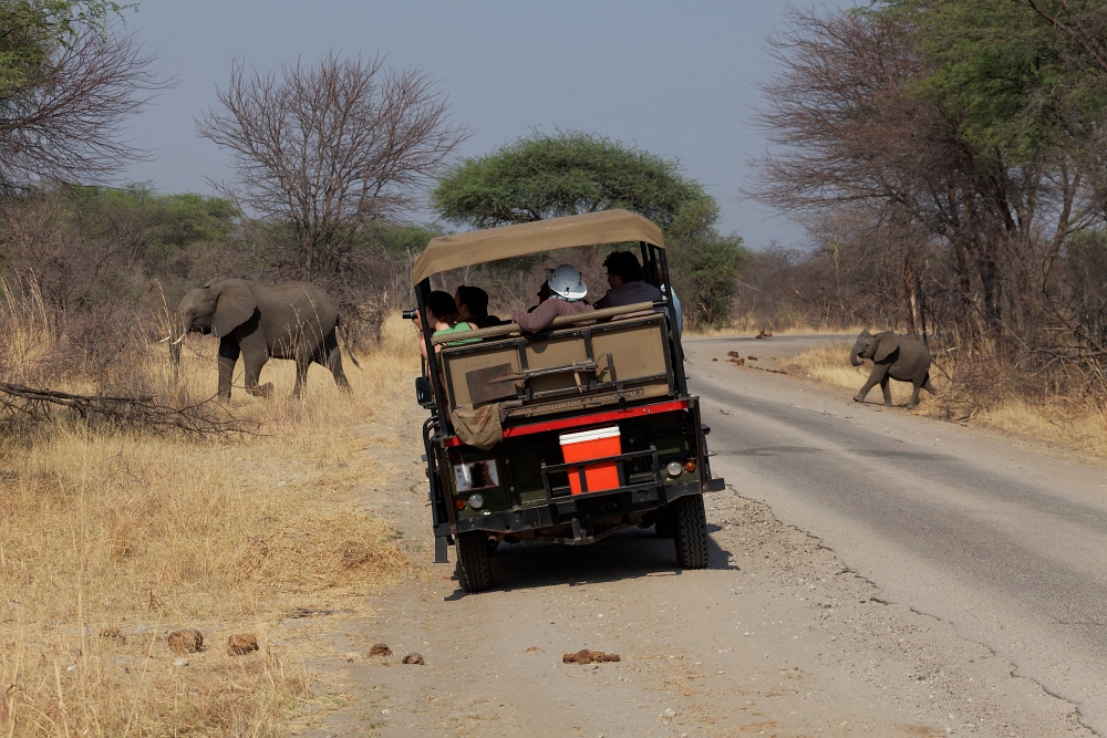 Einfahrt zum Hwange