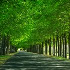 Einfahrt zur Wein Farm, Lourensford in Somerset West