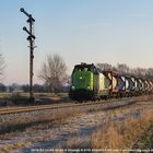 Einfahrt zwei Flügel für den Kessel-Containerzug nach Aken!