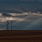 einfallendes Licht... Windräder bei Wörrstadt