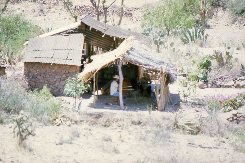 Einfamilienhaus