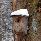 Einfamilienhaus in ländlicher Umgebung zu vermieten