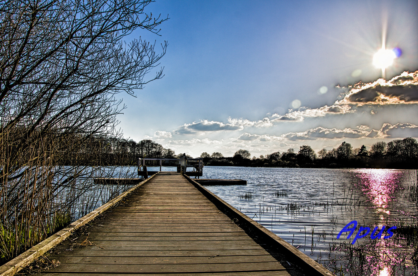 einfelder see neumünster