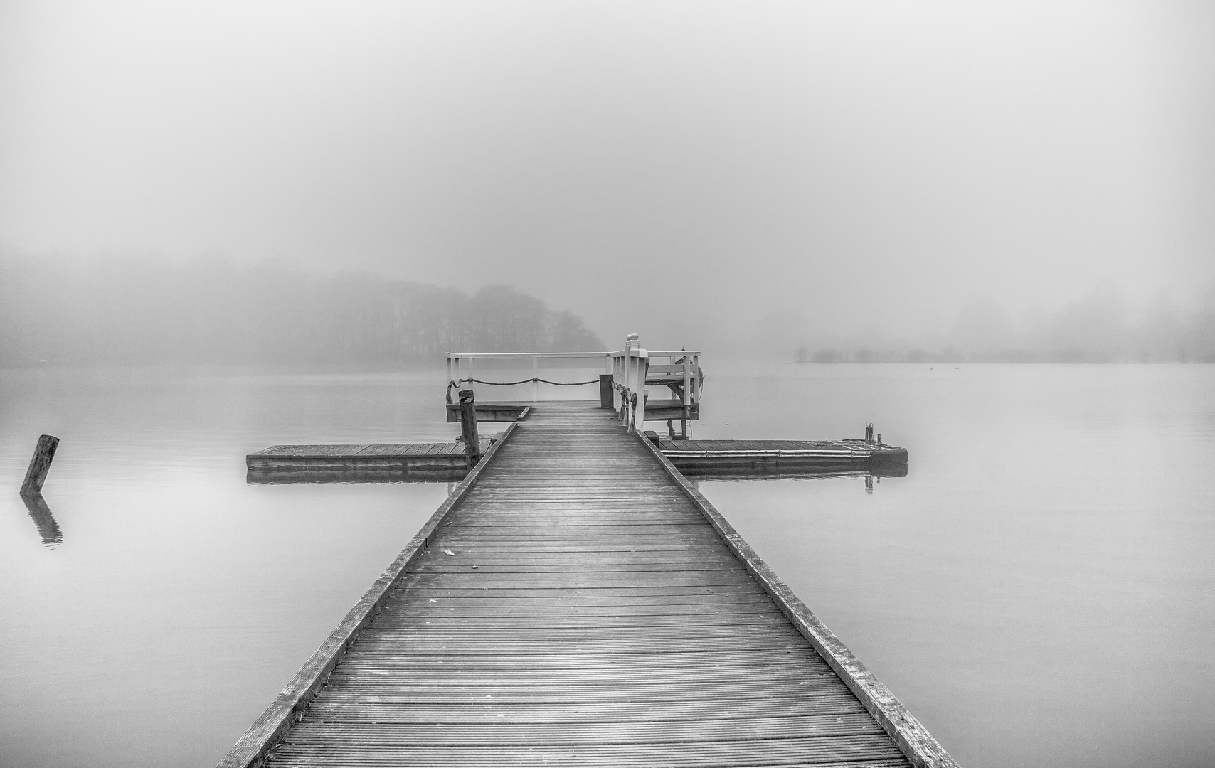 Einfeldersee im Nebel