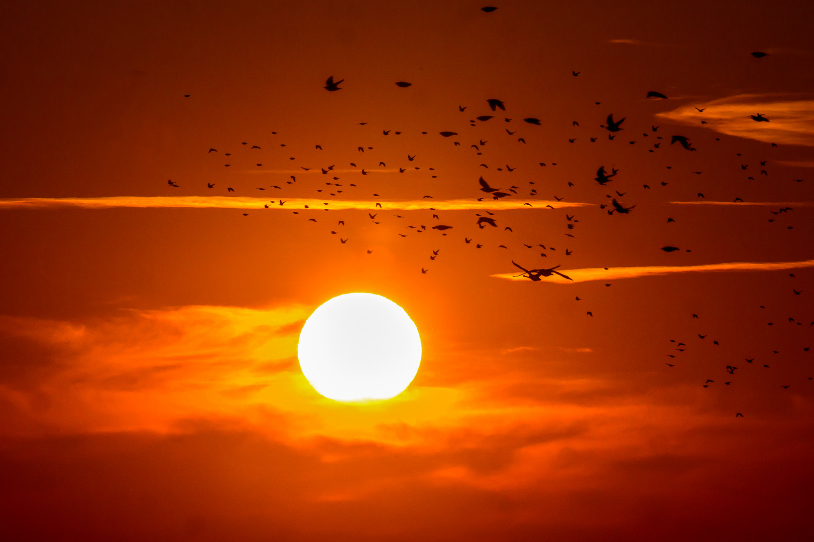 Einflug beim Sonnenuntergang