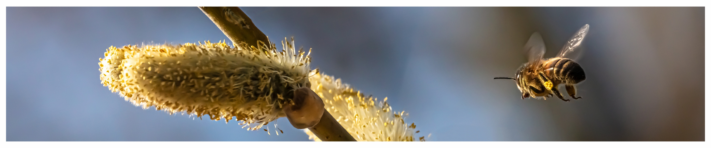 Einflugschneise Foto & Bild natur, spezial, dokumentation Bilder auf