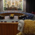 Eingabe im Sicherheitsrat