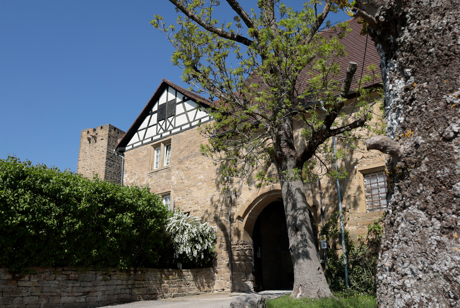 Eingang Burg Ravensburg