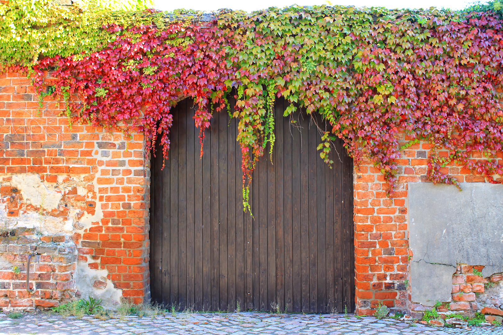 Eingang in den Herbst