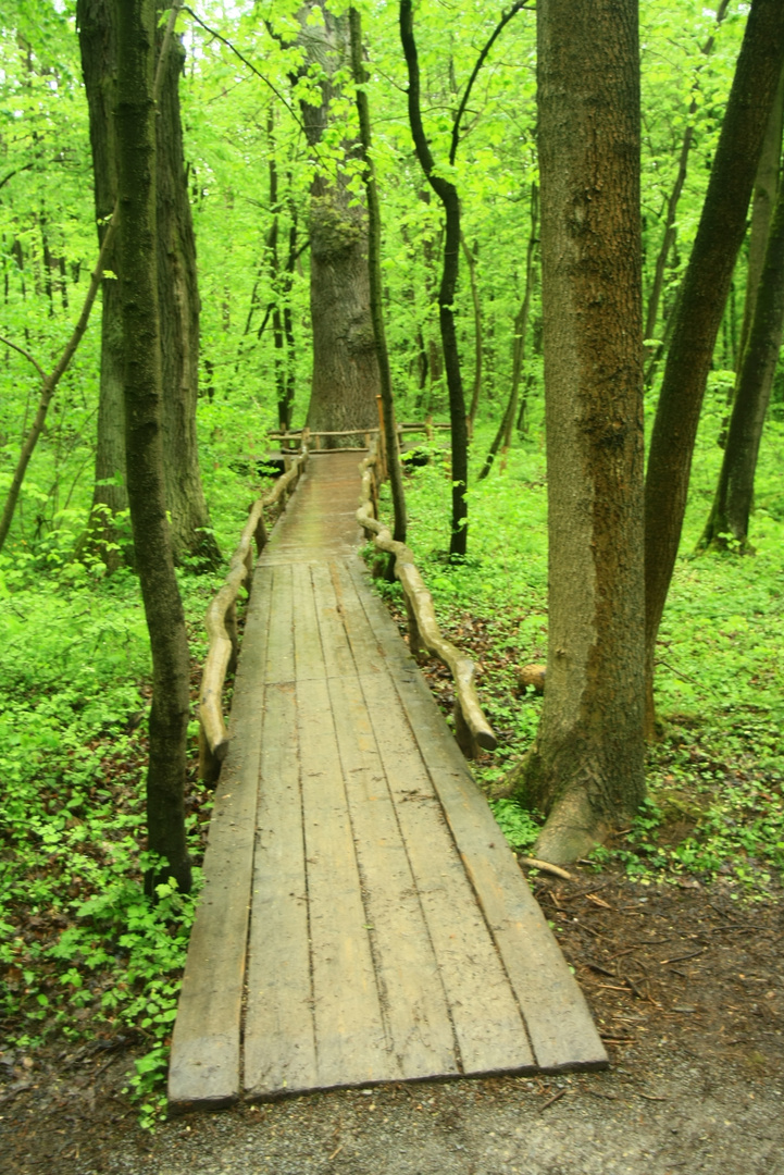 Eingang in den Märchenwald