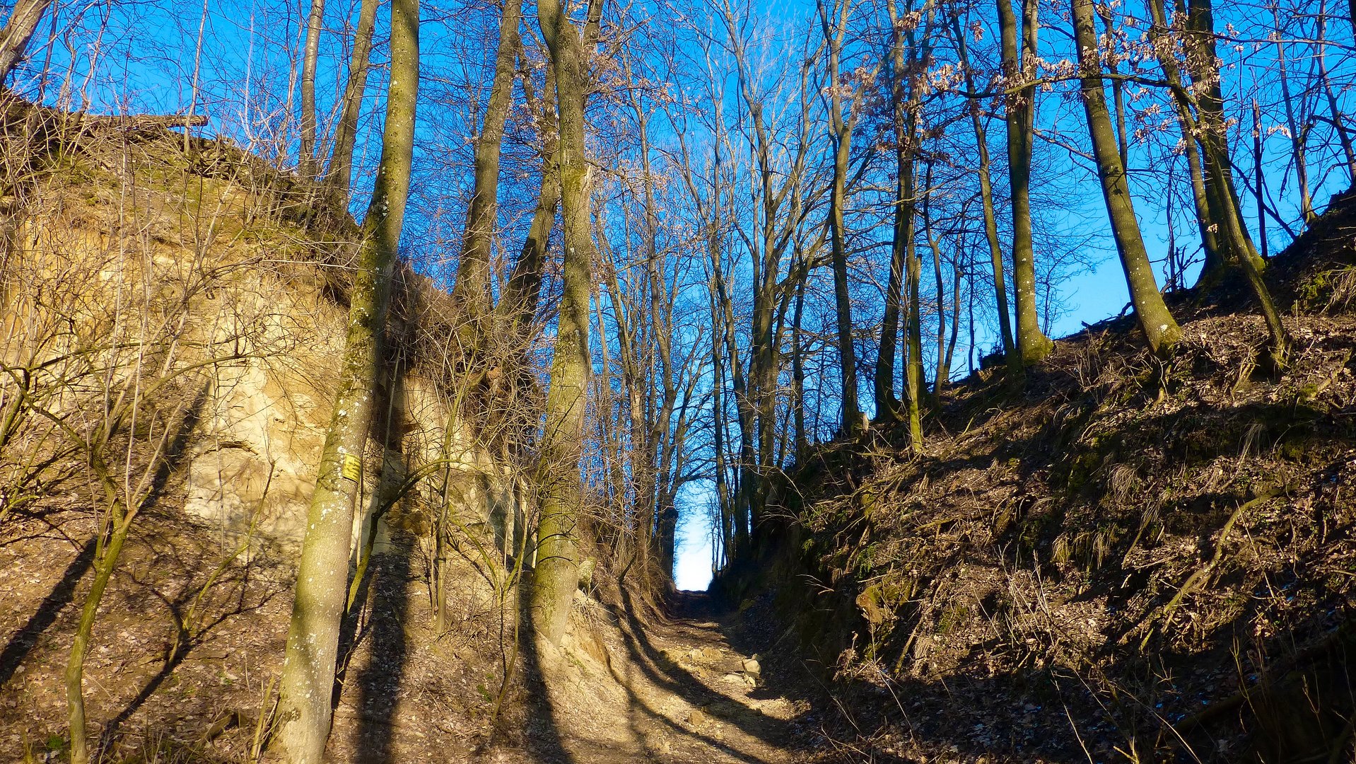 Eingang in die Natur