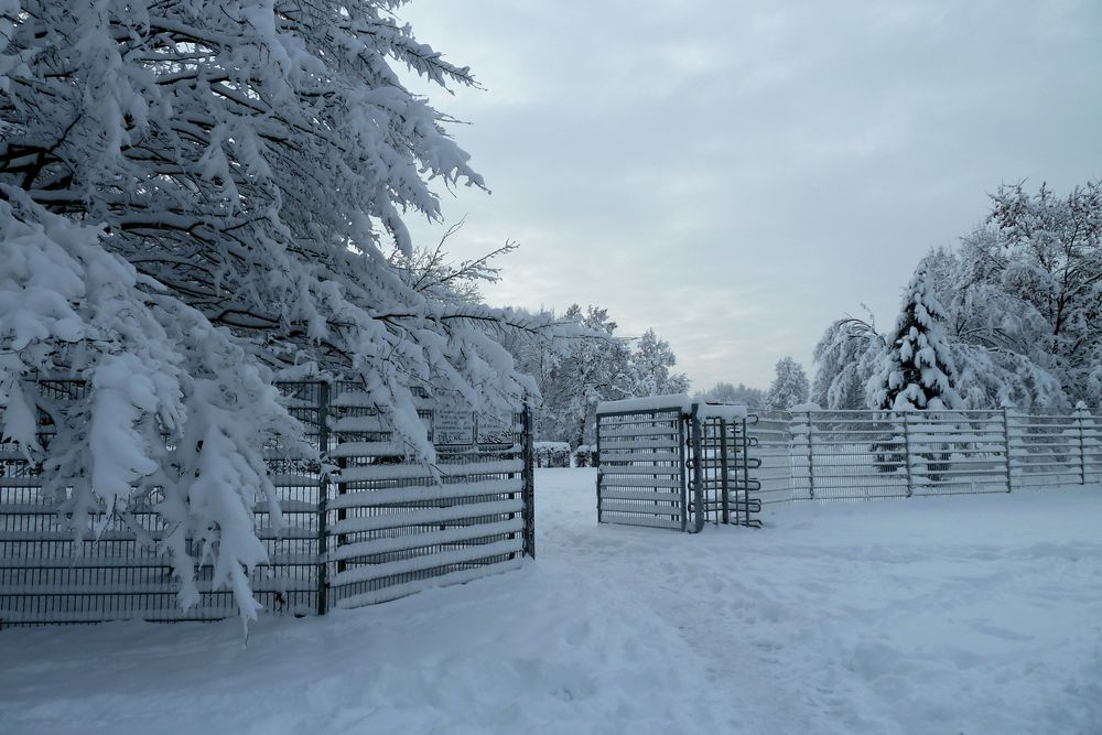 Eingang ins Wintermärchen