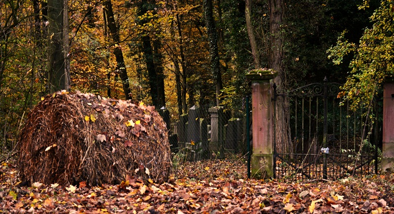 Eingang Judenfriedhof