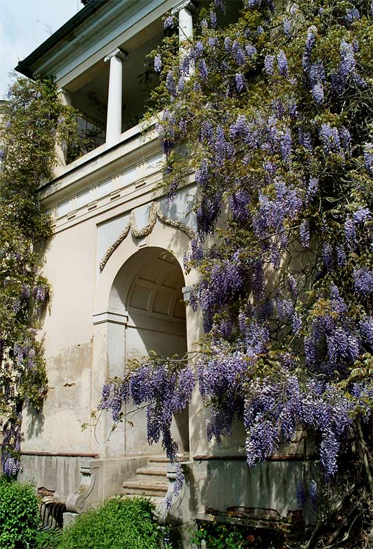 Eingang Schloß Tannenfeld