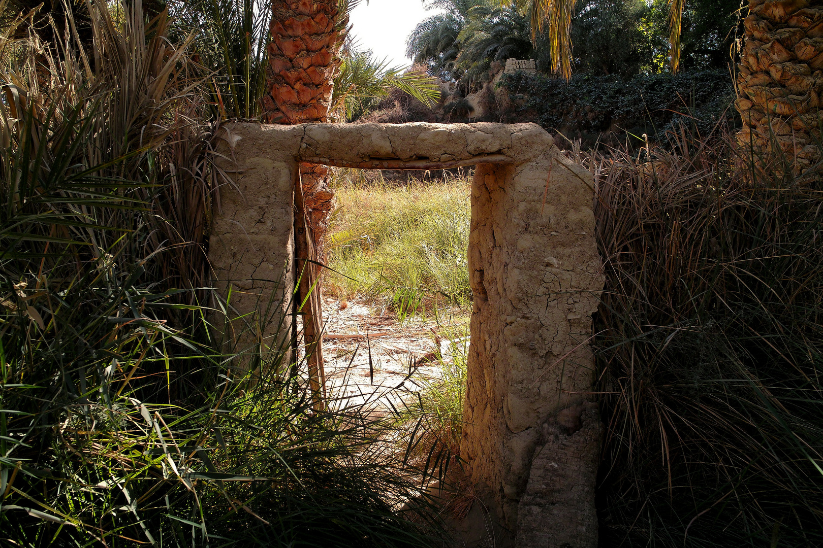 Eingang zu Allah's Gärten