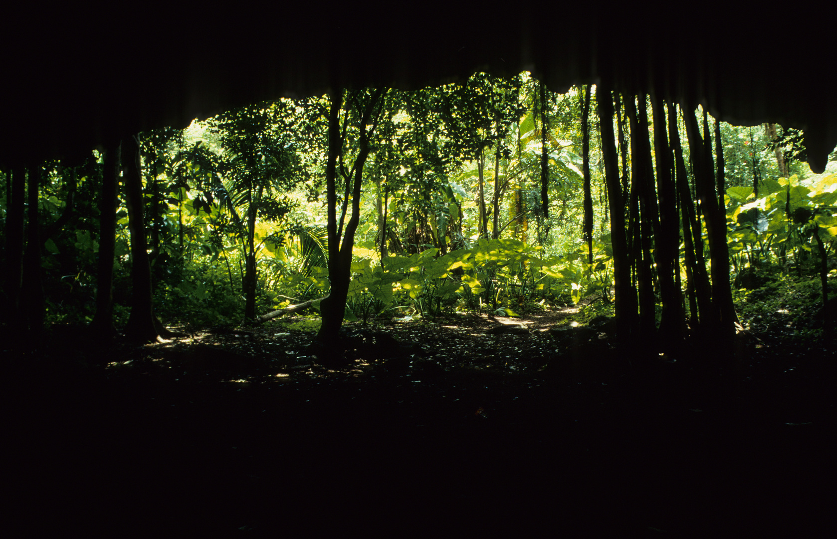 Eingang zum Cenote Dzitnup
