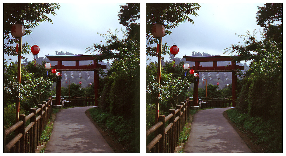 Eingang zum Musashi Mitake Jinja im Tama-Chichibu-Nationalpark im Kreuzblick