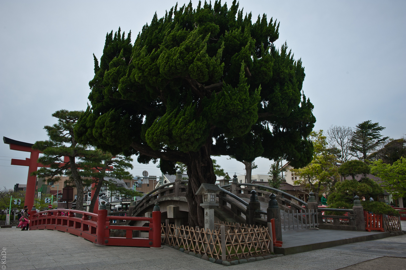 Eingang zum Tsurugaoka-Hachimango-Schrein