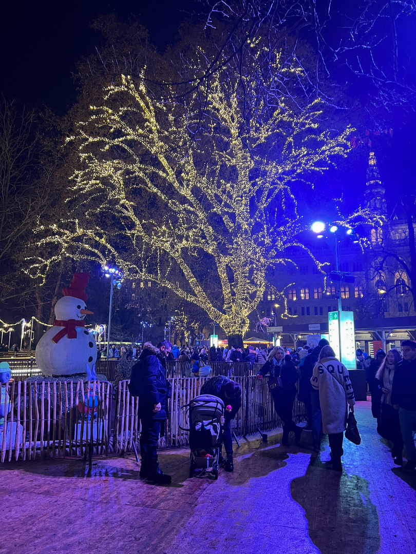 Eingang zum Wiener Christkindlmarkt