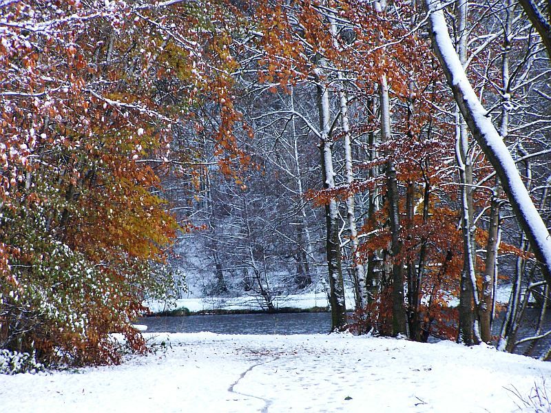 Eingang zum Winterwald