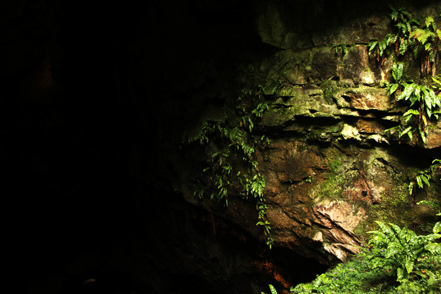 Eingang zur Dunmore Cave