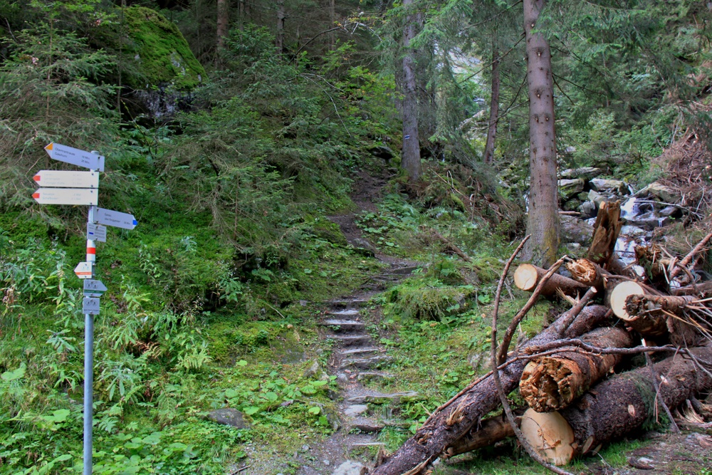 Eingang zur Garneraschlucht