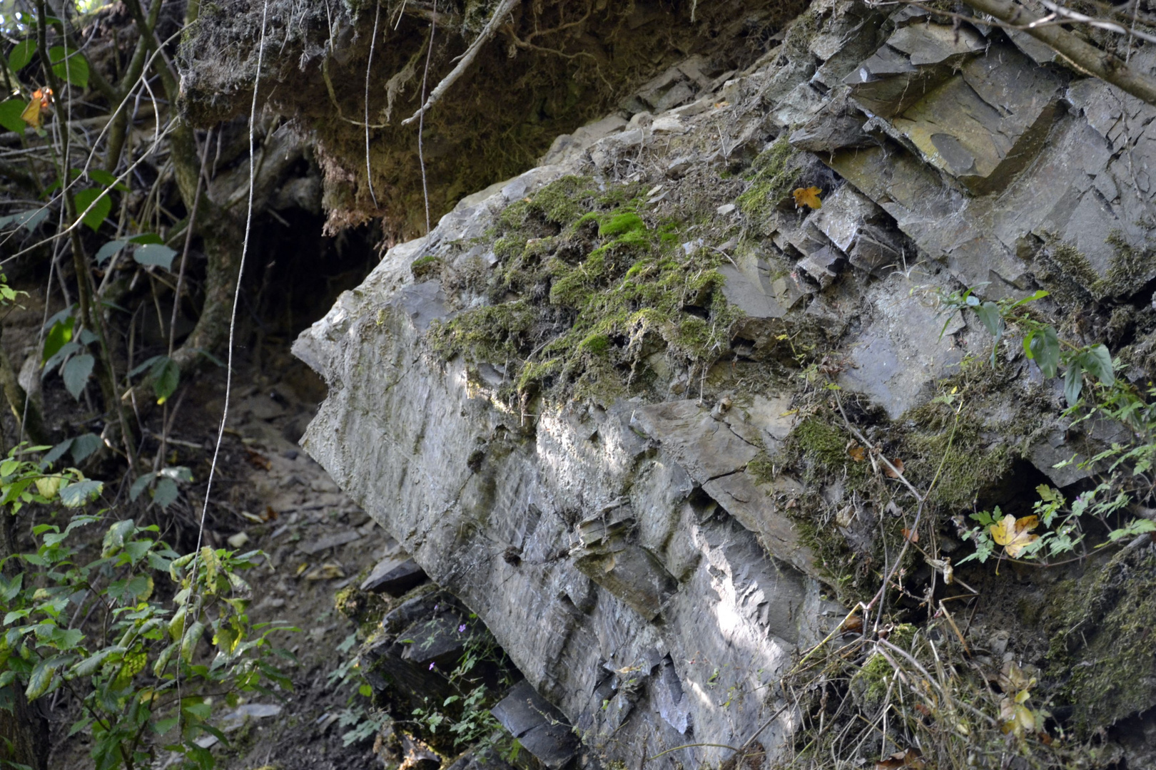 "Eingang" zur kleinen Höhle