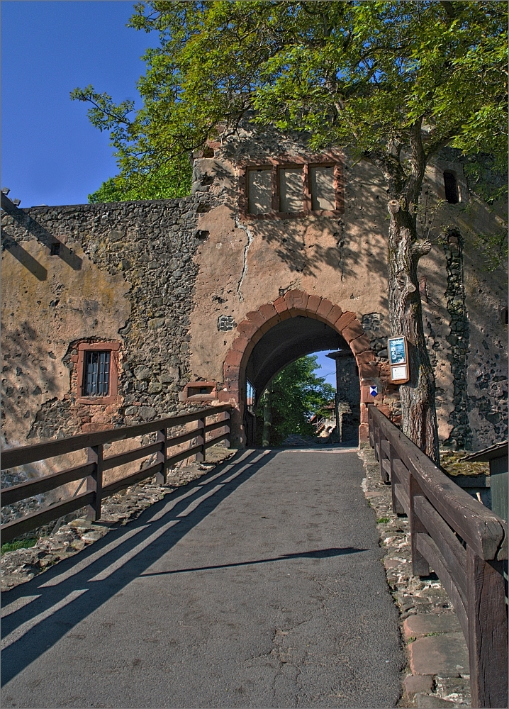 ~Eingang zur Ronneburg~