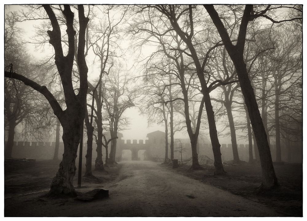 Eingang zur Saalburg im Nebel