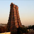 Eingangs-Gopuram im letzten Licht