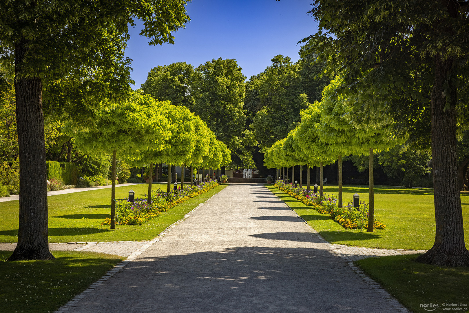 Eingangsallee Botanischer Garten