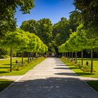 Eingangsallee Botanischer Garten