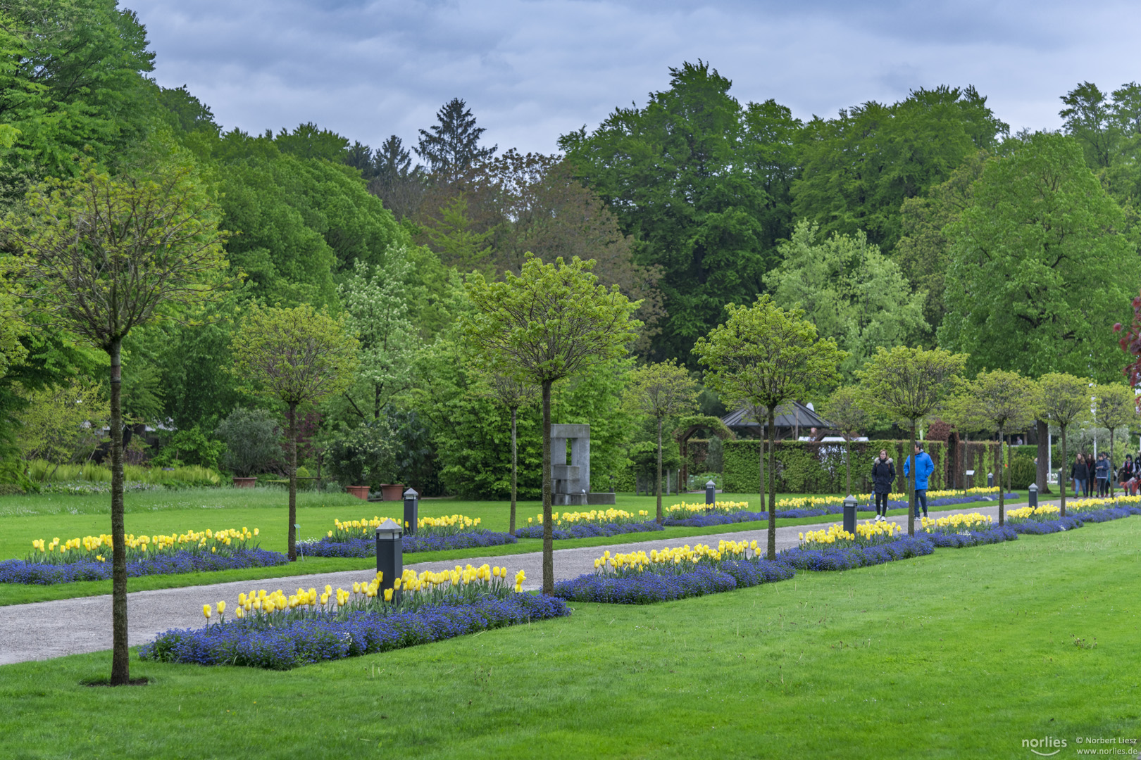 Eingangsallee Botanischer Garten