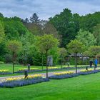 Eingangsallee Botanischer Garten