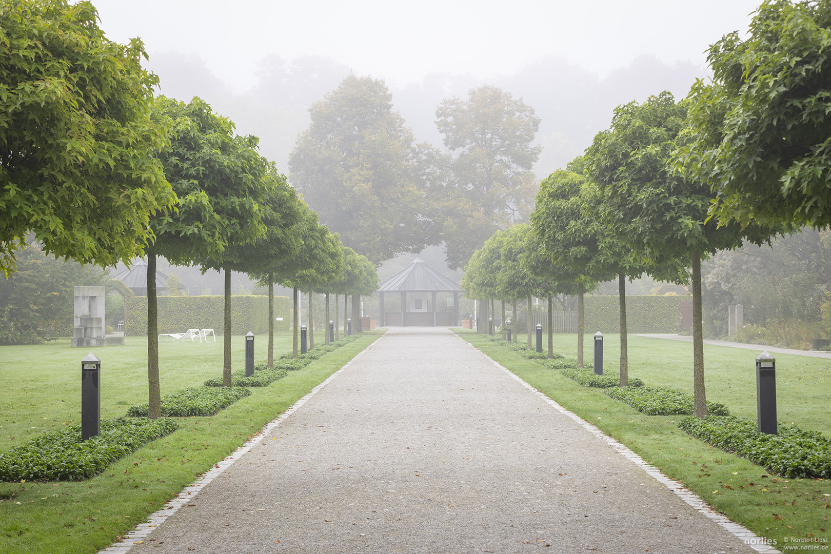 Eingangsallee im Nebel