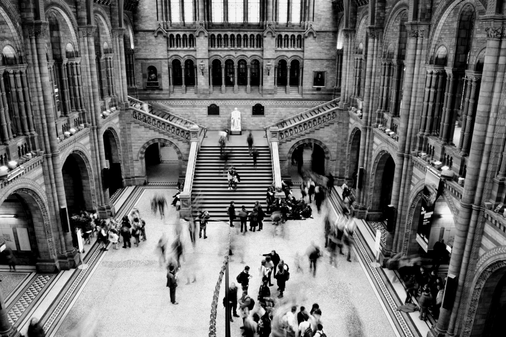 Eingangshalle des Natural History Museum