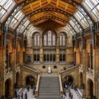 Eingangshalle zum Natural History Museum