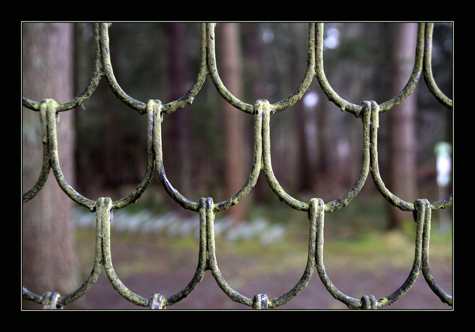 Eingangstor Foto & Bild | architektur, motive, profanbauten Bilder auf