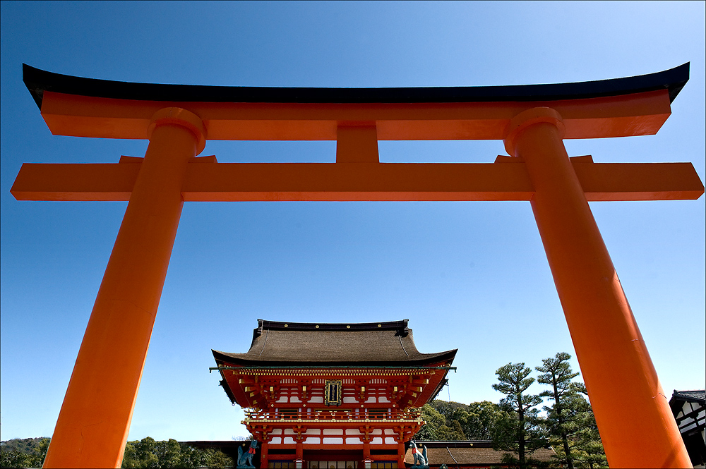 Eingangstorii zum Fushimi-Inari-Schrein