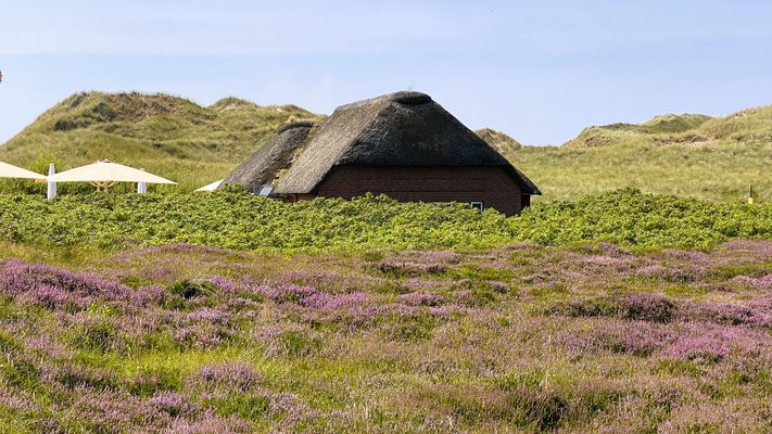 Eingebettet in den Dünen