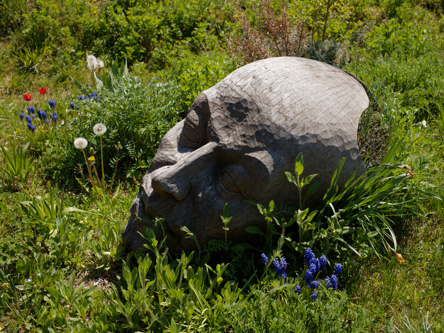 Eingebettet in die Natur