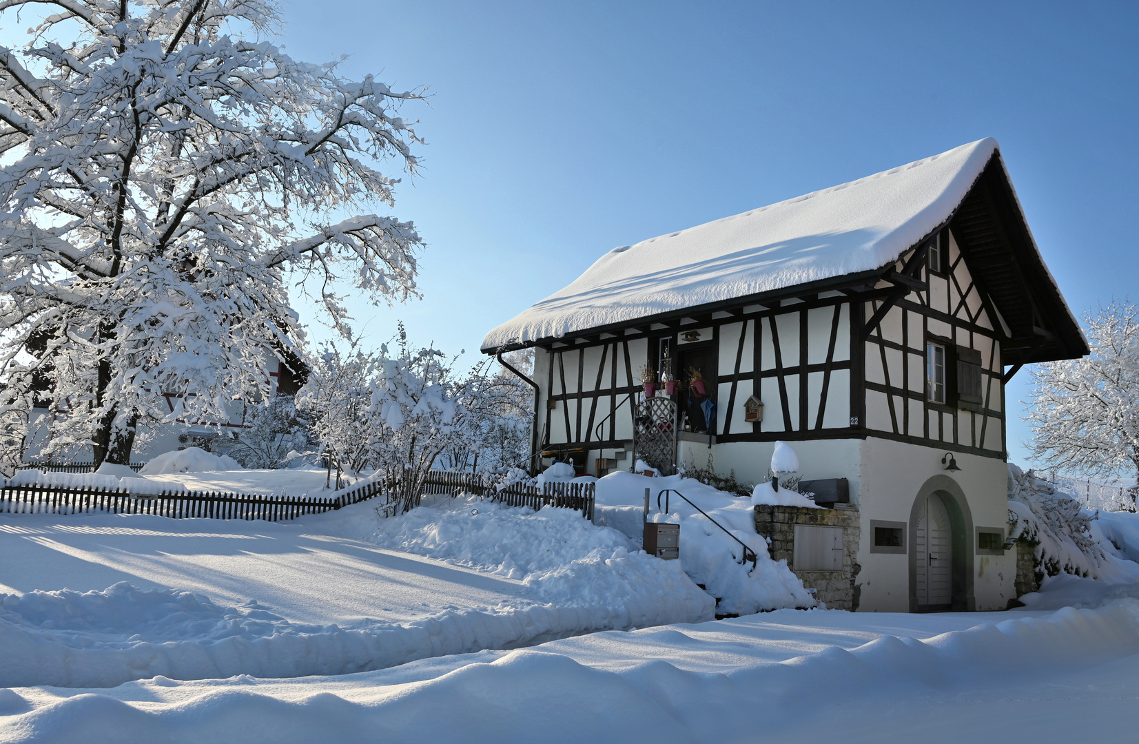 eingebettet in Schnee