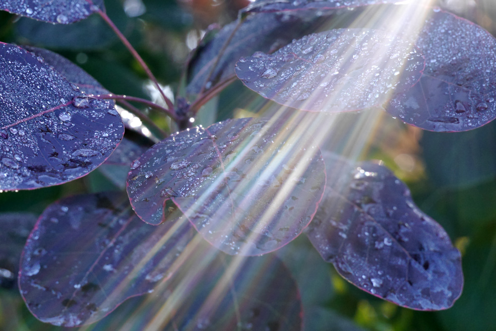 Eingefangene Sonnenstrahlen