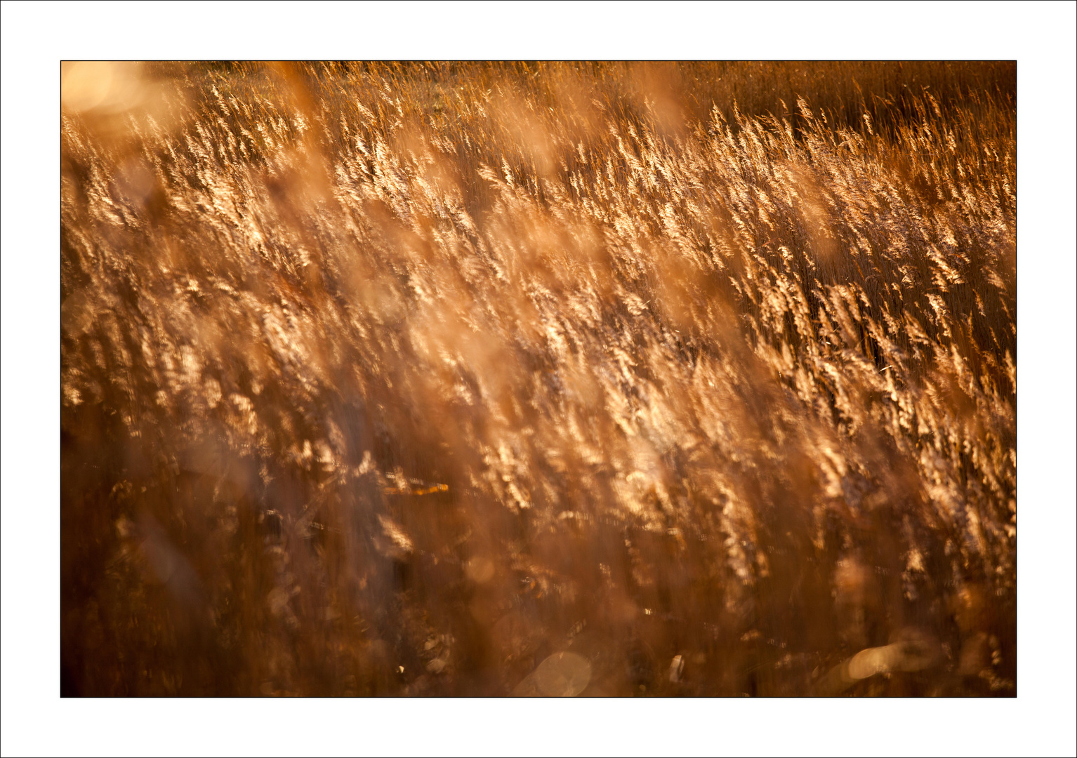 eingefangenes Sonnenlicht