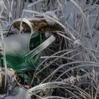 eingefroren im Garten