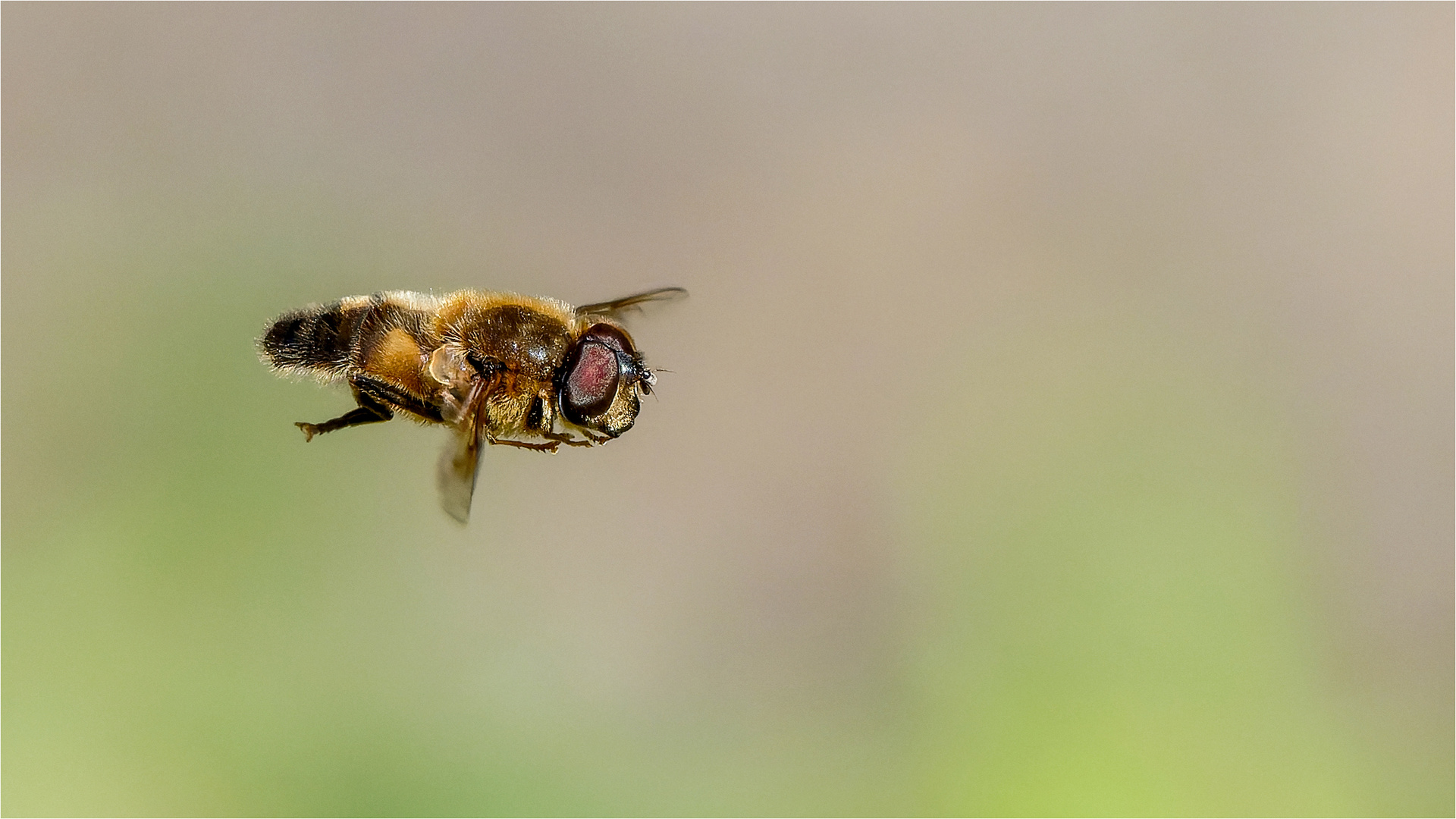 eingefroren mit 1/5000 sec.  .....