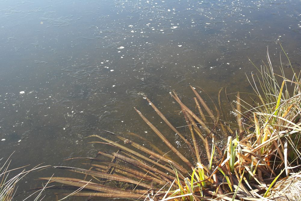 eingefroren neben freistehend