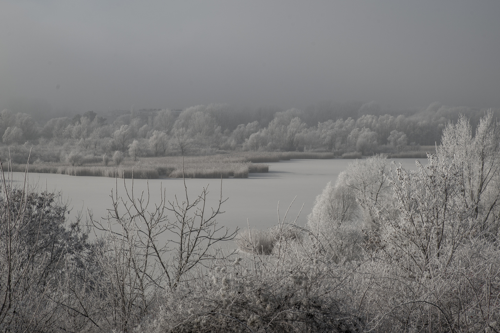 Eingefrorene See und Bäume am Wienerberg